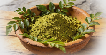 Curry Leaves (Murraya koenigii)