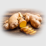 Ginger (Zingiber officinale)