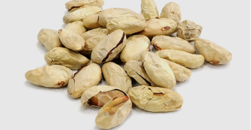 Jackfruit Seeds (Artocarpus heterophyllus)