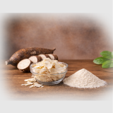 Cassava (Manihot esculenta)