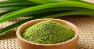 Pandan Leaves (Pandanus amaryllifolius)