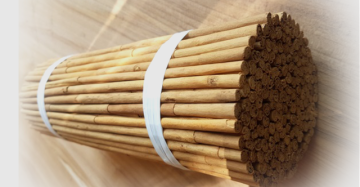 Cinnamon (Cinnamomum verum)