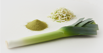 Leeks Powder (Allium ampeloprasum)