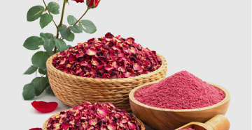 Rose (Rosa)