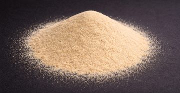 Jackfruit Seeds Powder (Artocarpus heterophyllus)